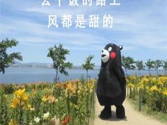 -避风塘(江桥万达店)