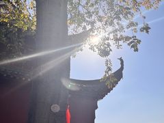 -长春观