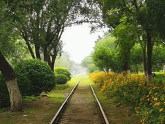 -永定河休闲森林公园