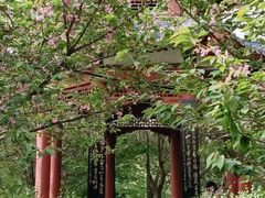 -洛阳市隋唐城遗址植物园