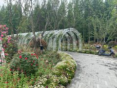 -东平国家森林公园
