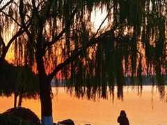 -丁香湖公园