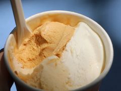 -Dip in Gelato(富民路店)