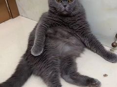 -宠颐生宠物医院·骨外科·犬猫全科诊疗中心(池州店)