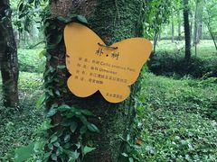 -玉女潭景区