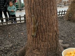 -西湖天地