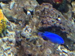 罗源湾海洋世界-福州罗源湾海洋世界旅游区