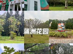 -南沙蒲洲花园