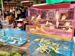 -园圃街雀鸟花园
