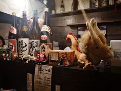 -金龙咖喱