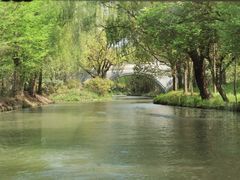 -同里国家湿地公园