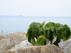 -香港国际机场