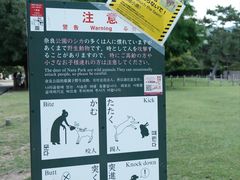 -奈良公园