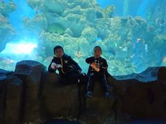 -芜湖新华联大白鲸海洋公园