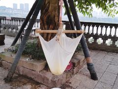 -大渡口区义渡公园