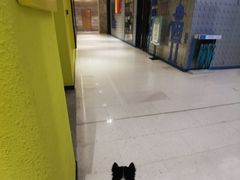 -希尔顿欢朋酒店自助餐