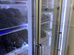 -雾与山茶(大禹城店)