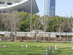 -人民广场