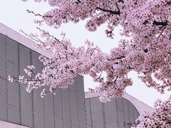 -龙美术馆(西岸馆)
