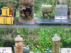 -广州神农草堂中医药博物馆