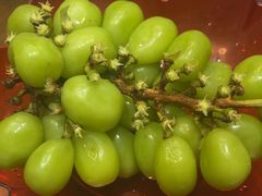 -崂山印象·青岛·海鲜渔家菜