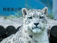 -青藏高原野生动物园