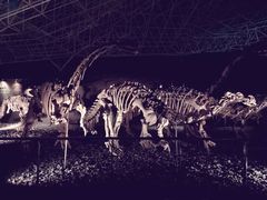 -世界恐龙谷景区