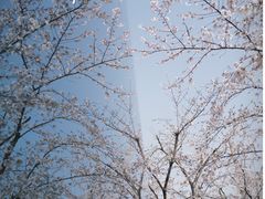 -龙美术馆(西岸馆)
