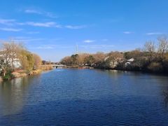 -溱湖国家湿地公园