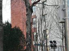 -首都医科大学附属北京友谊医院(西城院区)