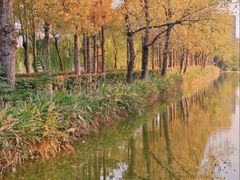 -洋湖国家湿地公园