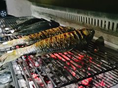 -杨合林啊兰烤鱼