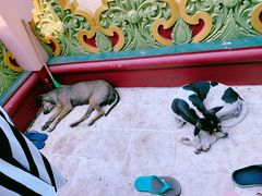 -ခြောက်ထပ်ကြီးရွှေသာလျောင်းဘုရားကြီး