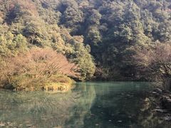 -龙井壹号·茶缘山景宴(龙井村店)
