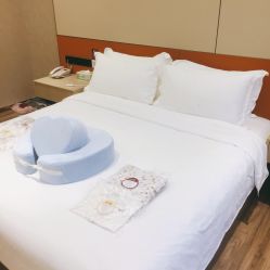 点击看大图 -爱帝宫月子中心(罗湖别墅院)