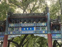 -北京国子监胡同
