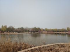 -永定河休闲森林公园