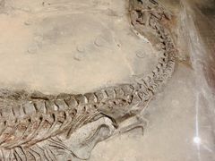 -大同煤炭博物馆