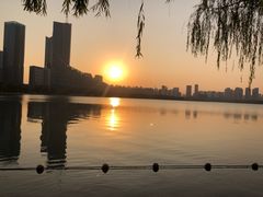 -天鹅湖体育公园