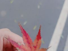 -堤角公园