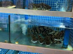 -渔家乐小海鲜(皇姑店)