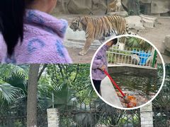 -荆州中山公园动物园