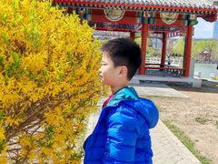 -西海子公园