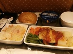 -新加坡航空公司(ION)