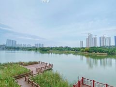 -五缘水乡酒店兰轩中餐厅