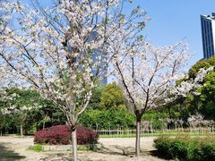 -新虹桥中心花园