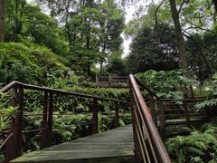 -重庆抗战遗址博物馆