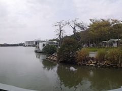 -陈鹏鹏潮汕菜(欢乐海岸 海边景观店)
