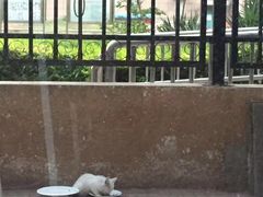 -吃饼人西餐(南开店)