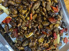 -鑫顺吉牛肉馆